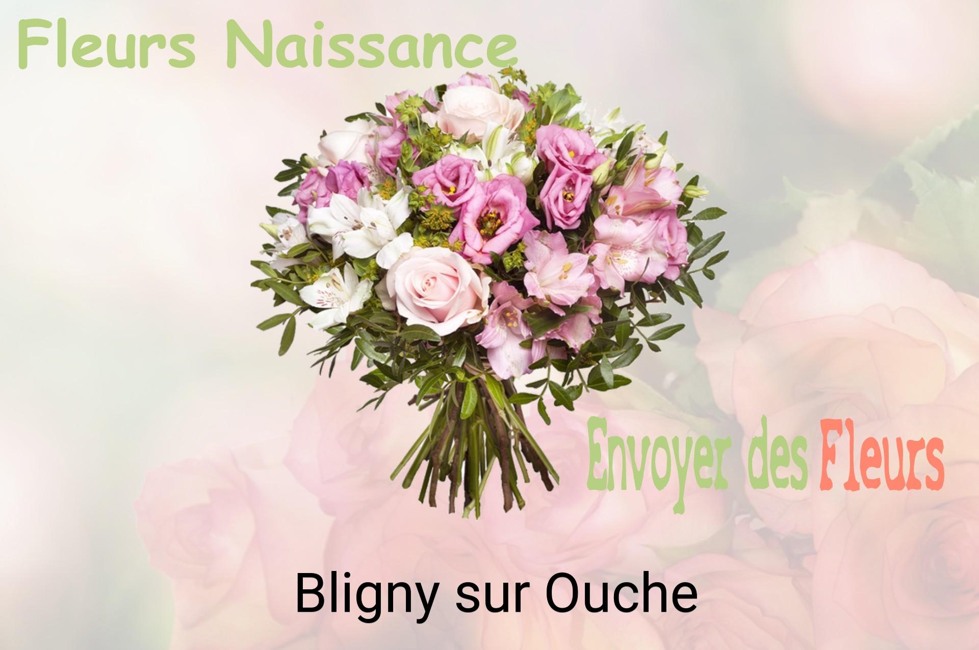 Bouquet de fleurs de naissance livré à Bligny-sur-Ouche